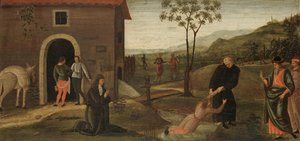 San Nicola da Tolentino che salva un ragazzo dall